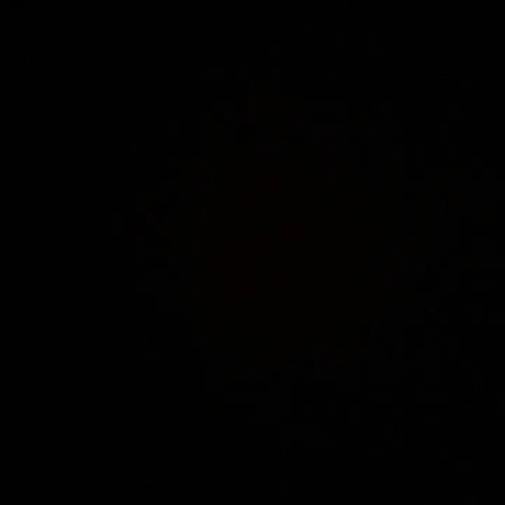 antoniaperla_17