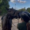 cloverandvee
