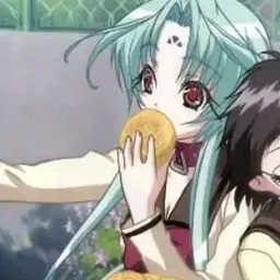 irl.chii