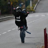 luka_db96