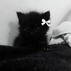 yeji.160