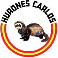 hurones_carlos