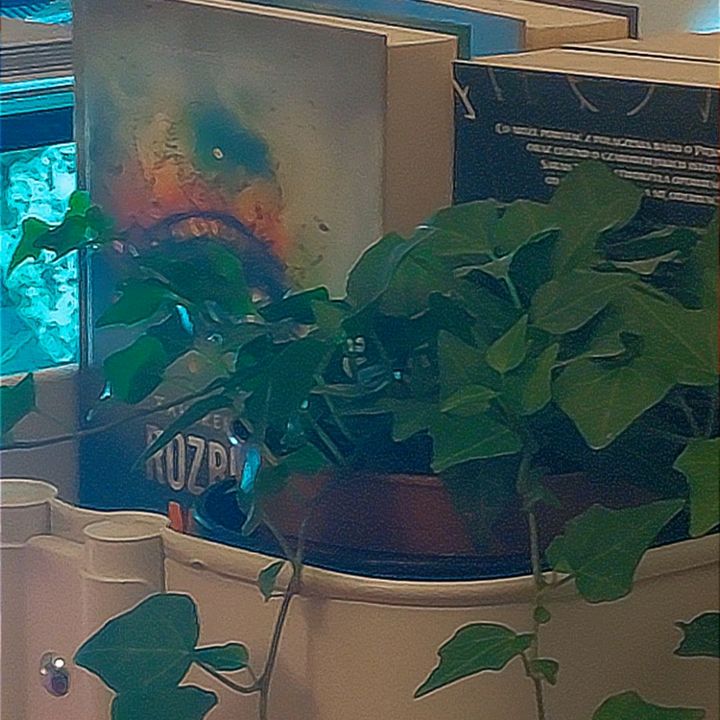 soszynsqqq.books