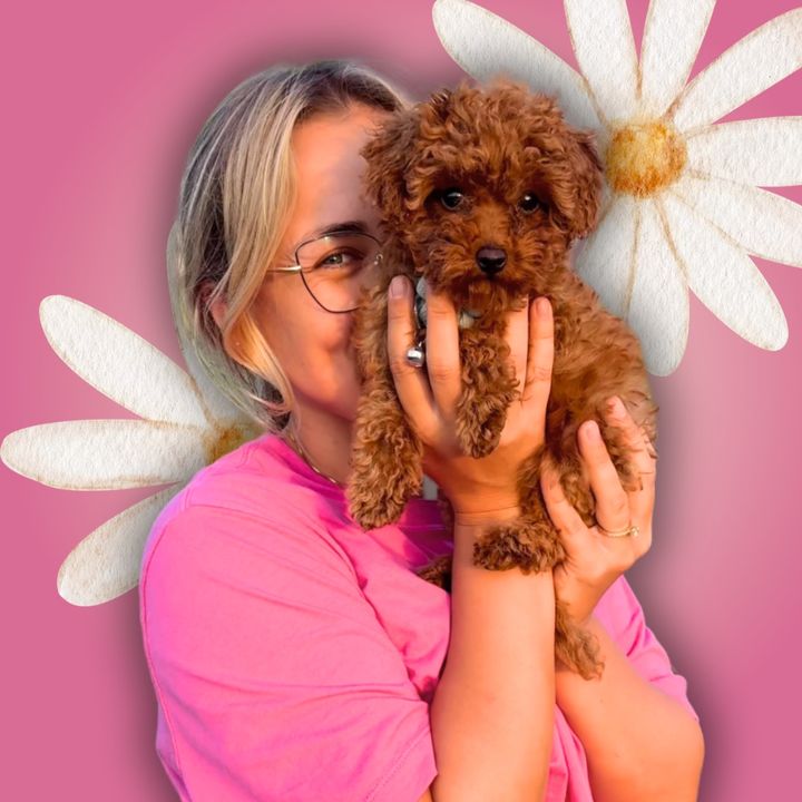 pudlipoo.penny - original sound