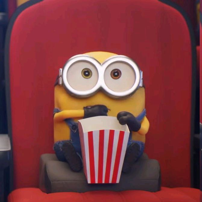 carifilm31
