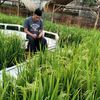 arief_bamzbank
