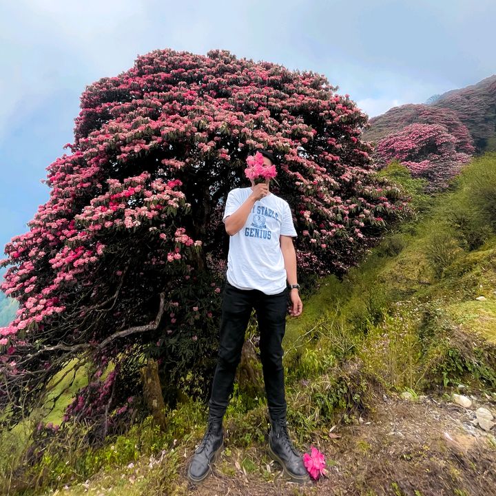 namhanglimboou1