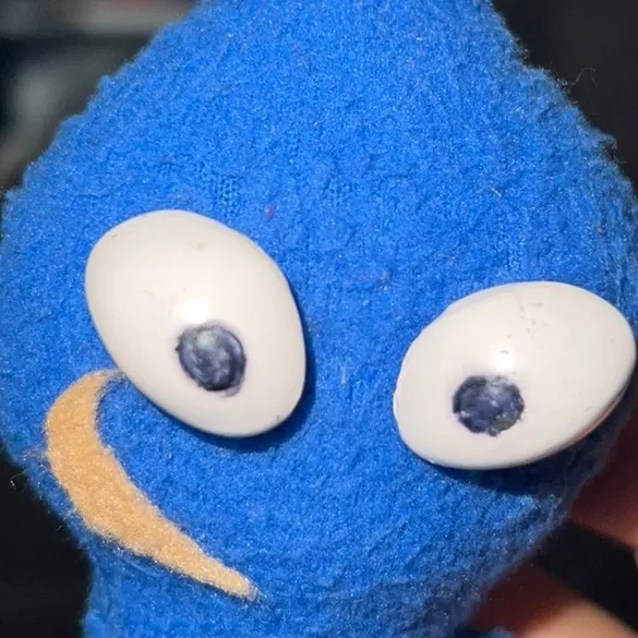 @bluepikmin1234