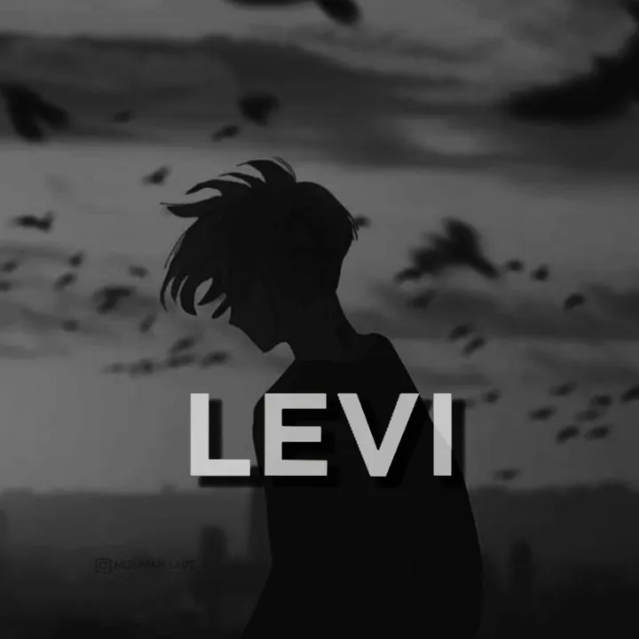 rk.levi01