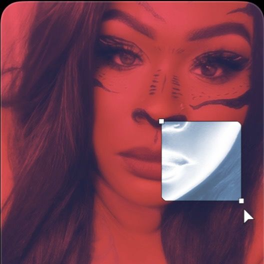 janellelove2