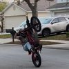 bikestar.enzo
