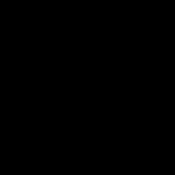 savannamain_