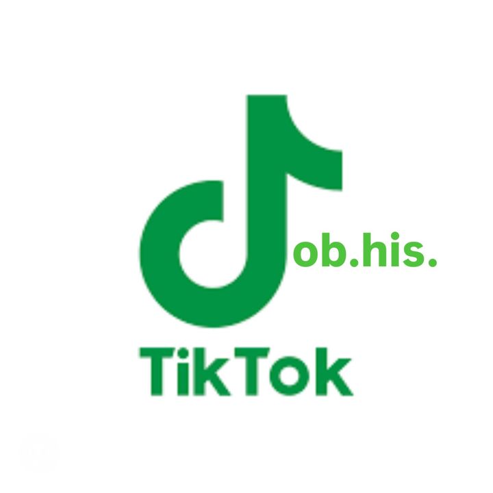 rob.his.tiktok_robert