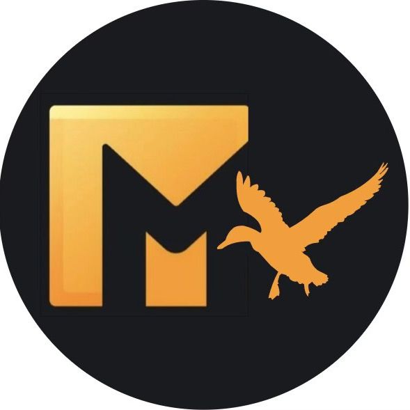 @migration_waterfowl