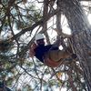gtree496