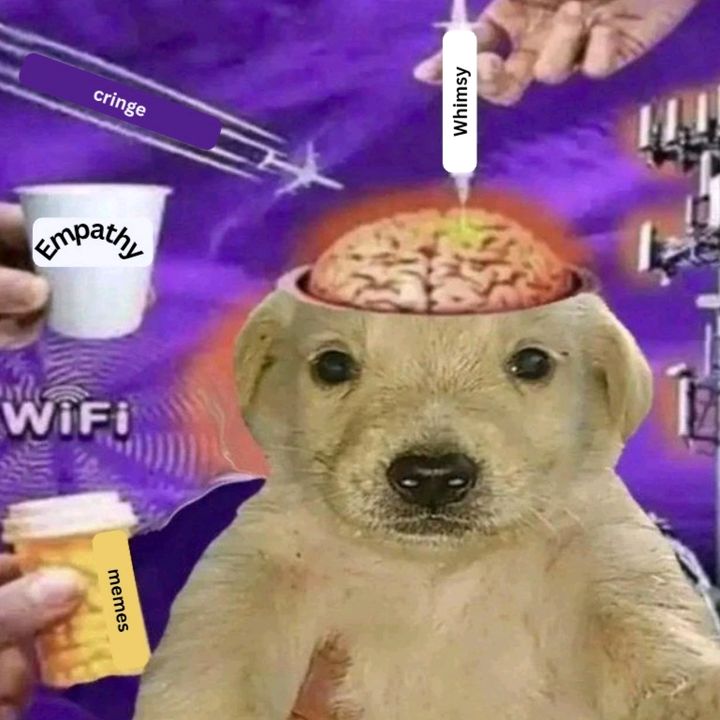 theminstem