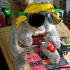 charles_tha_squirrel