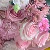 karina.c463