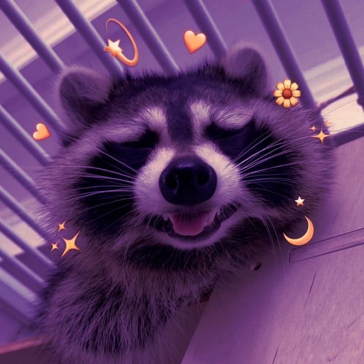 @ashxacid