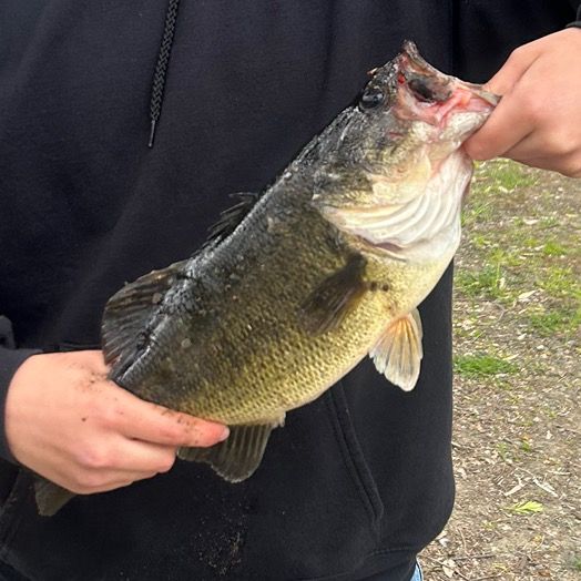 tonyfishin6