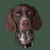 maggie.essa2cominting