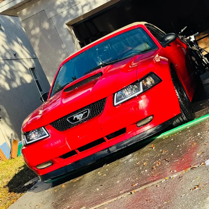 that.new.edgemustang