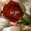 adlineedgard8