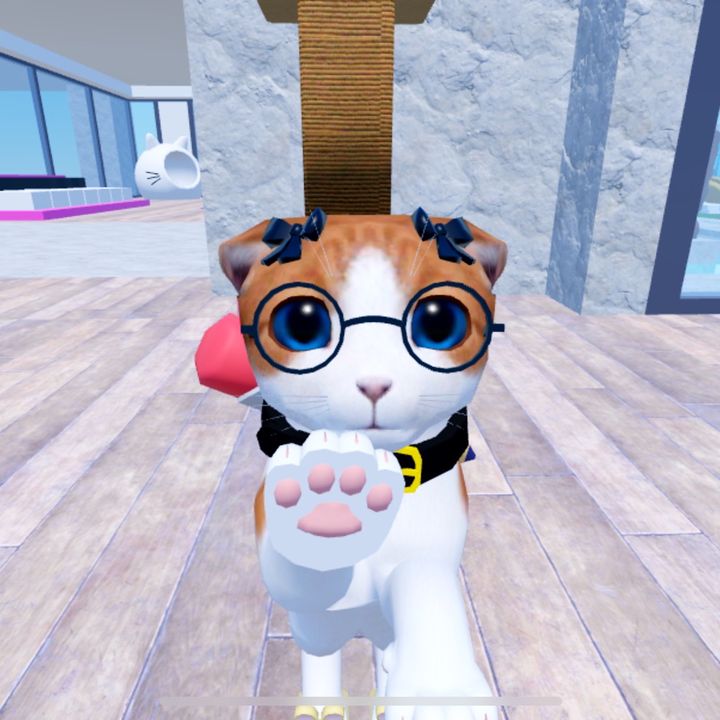 tabbycatlolz