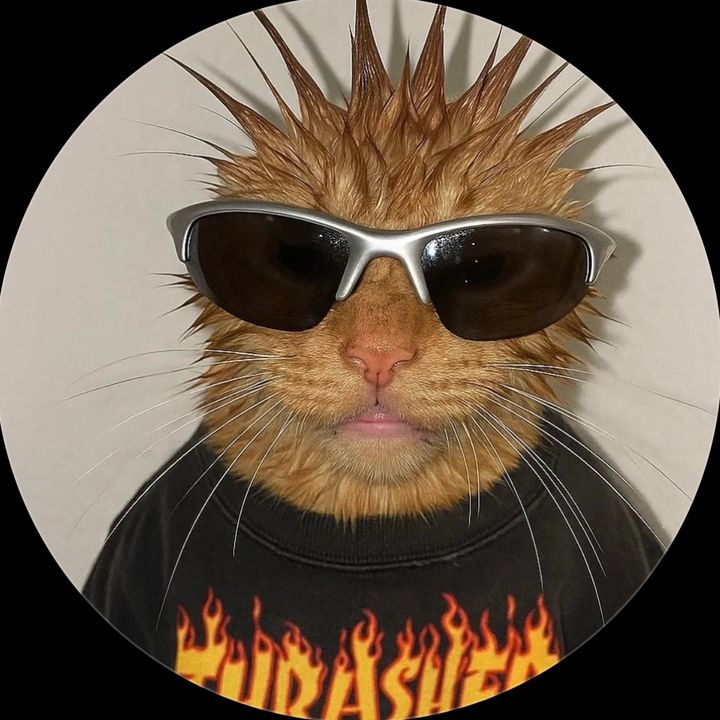 andrewwsssssssss__