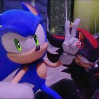 officialsonicandshadow