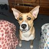 realmomeymaker_spam_00