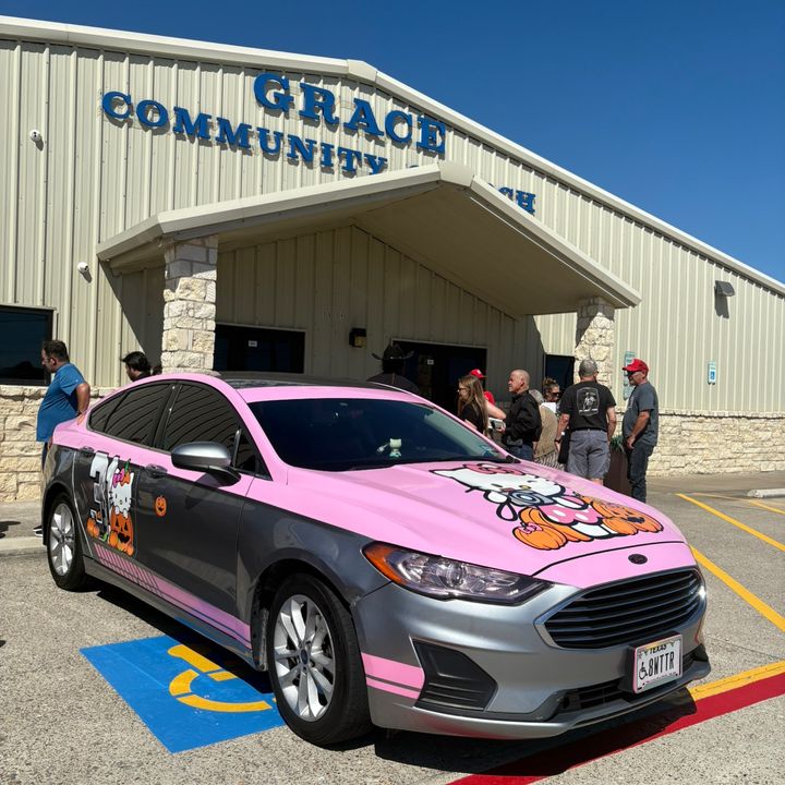 pink31fusion