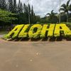 kiinani4