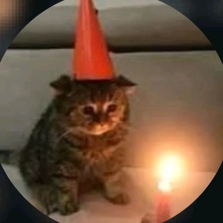 eeeeeee_11ee_