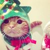 fartylady.com