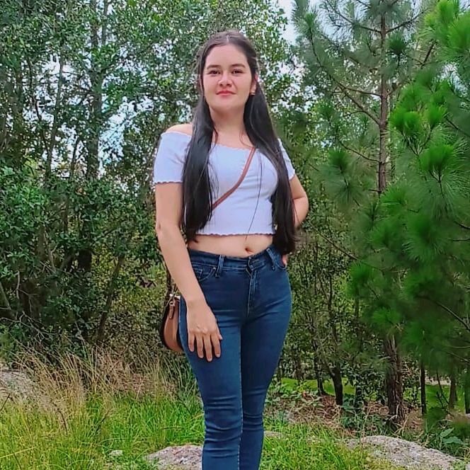 beylin_94