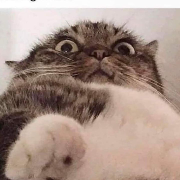 knyvez__