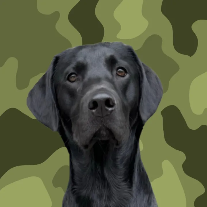 ghostblacklab