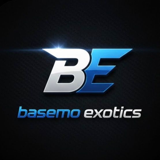 BasemoExotics - original sound - basemoexotics