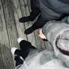 hgot502